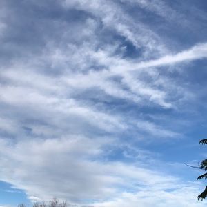 Meet your Posher, Krista